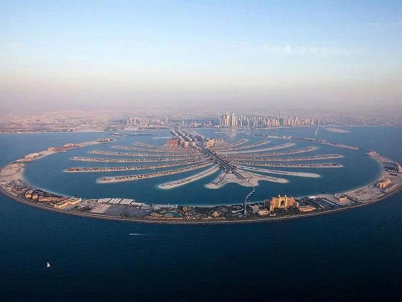 Palm Jumeirah có hình dạng như một thân cây, tỏa ra 16 nhánh lá cọ.